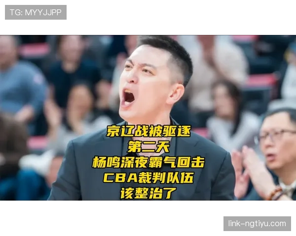 哨音规则拆解：裁判何时吹响才算比赛有效暂停？